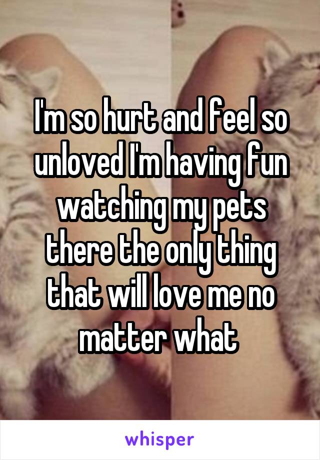 I'm so hurt and feel so unloved I'm having fun watching my pets there the only thing that will love me no matter what 