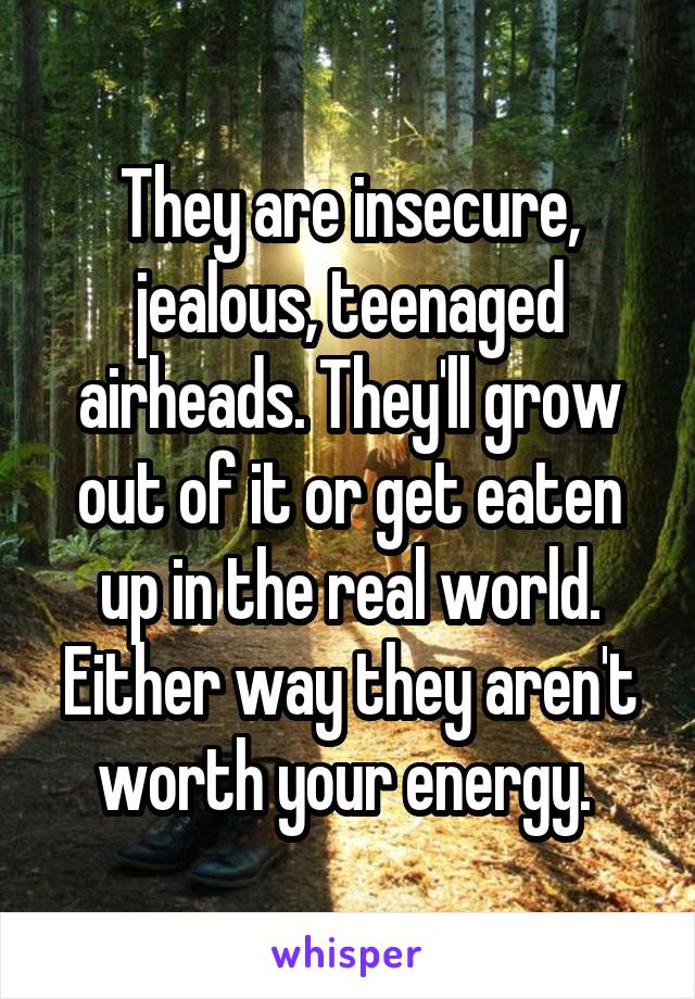 They are insecure, jealous, teenaged airheads. They'll grow out of it or get eaten up in the real world. Either way they aren't worth your energy. 