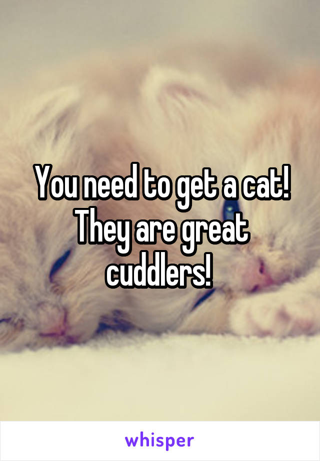 You need to get a cat! They are great cuddlers! 