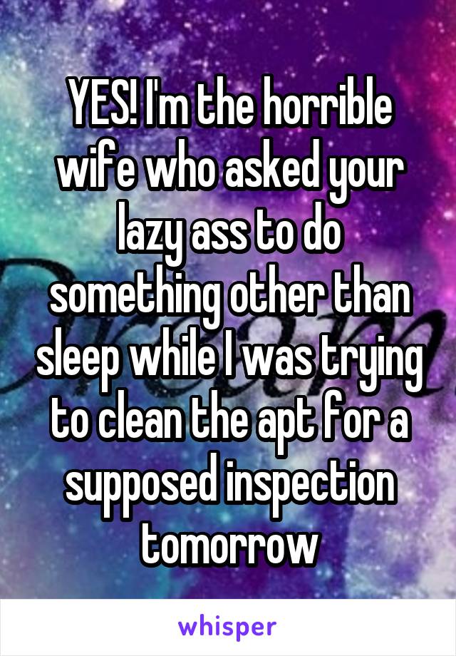 YES! I'm the horrible wife who asked your lazy ass to do something other than sleep while I was trying to clean the apt for a supposed inspection tomorrow
