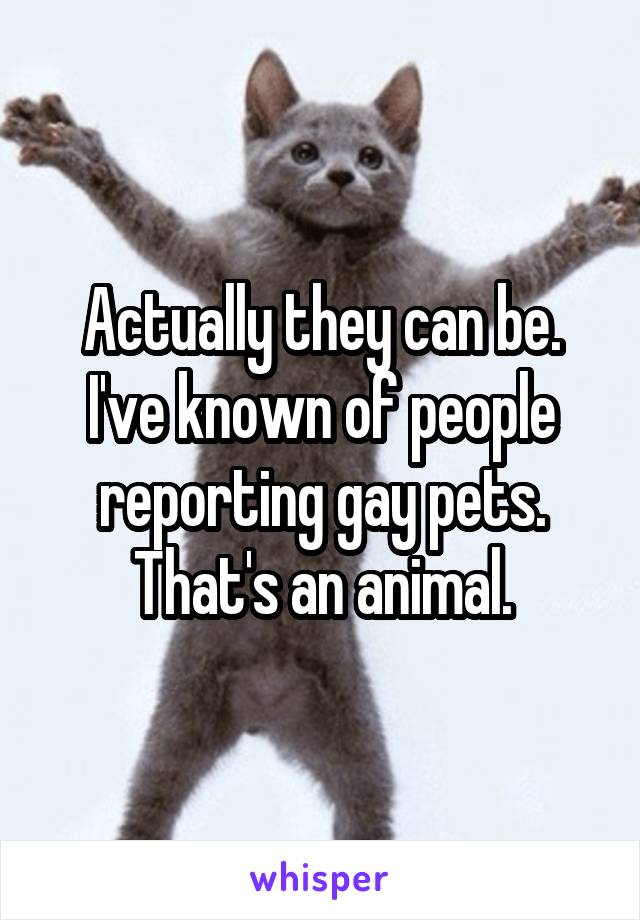 Actually they can be. I've known of people reporting gay pets.
That's an animal.