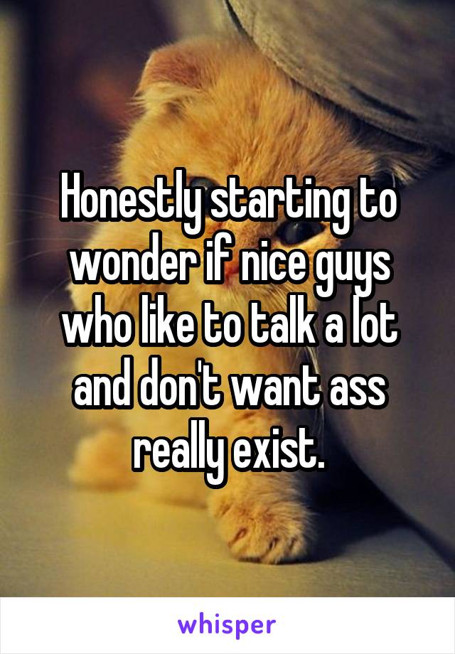 Honestly starting to wonder if nice guys who like to talk a lot and don't want ass really exist.