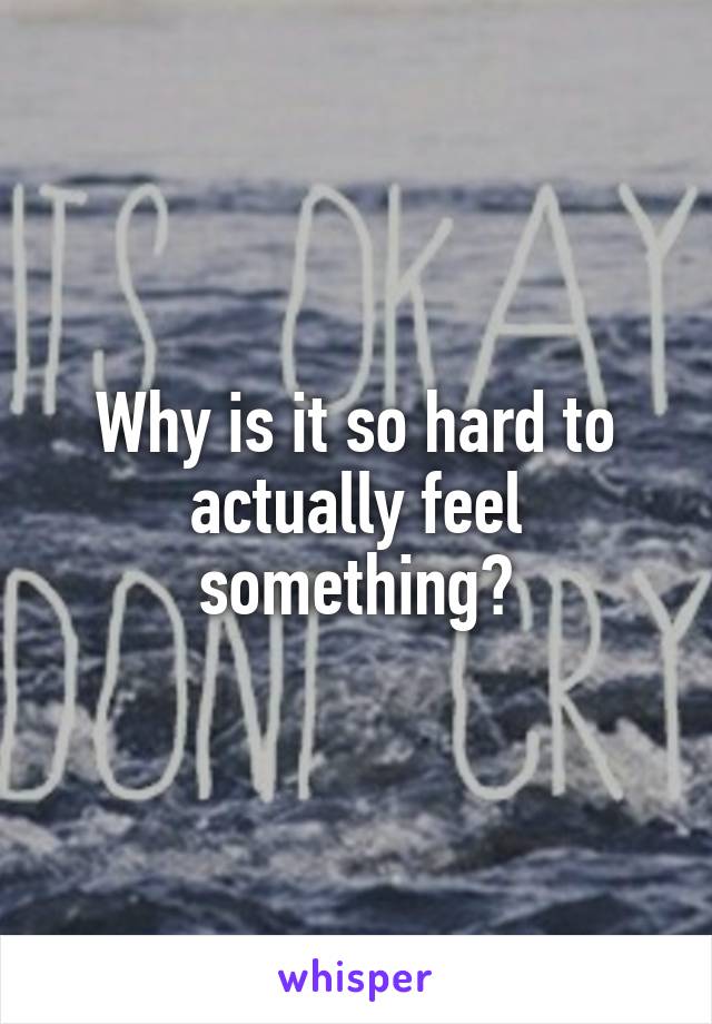 Why is it so hard to actually feel something?