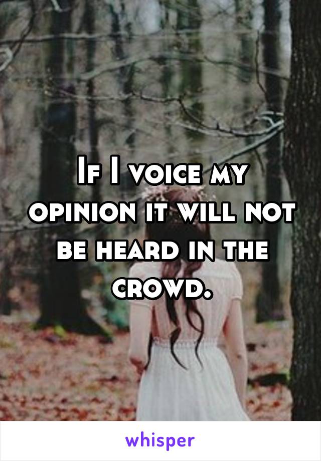 If I voice my opinion it will not be heard in the crowd.