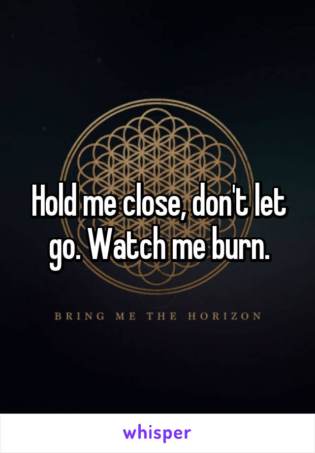 Hold me close, don't let go. Watch me burn.