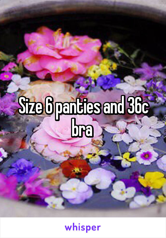 Size 6 panties and 36c bra 
