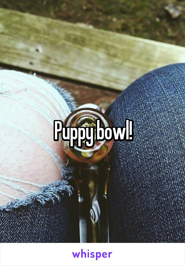 Puppy bowl!