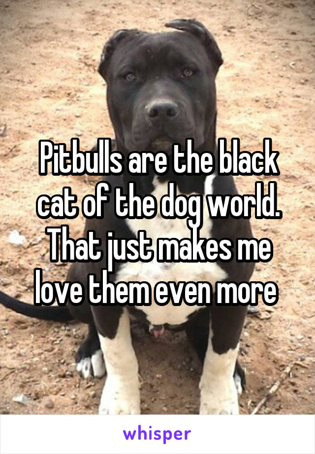 Pitbulls are the black cat of the dog world. That just makes me love them even more 