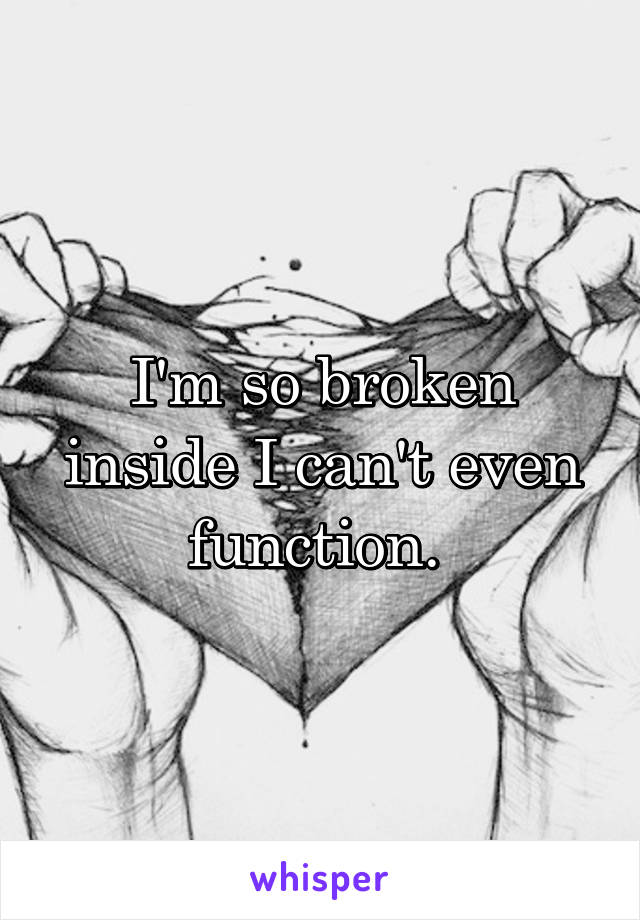 I'm so broken inside I can't even function. 