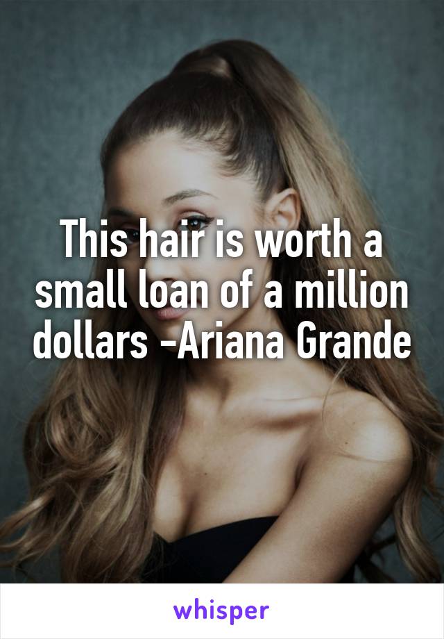 This hair is worth a small loan of a million dollars -Ariana Grande 