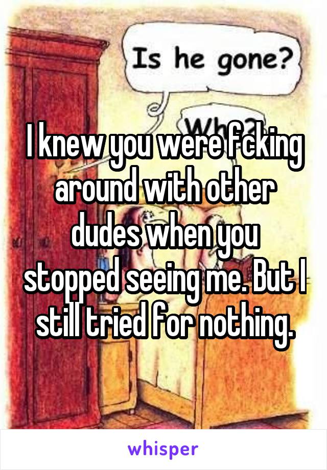 I knew you were fcking around with other dudes when you stopped seeing me. But I still tried for nothing.