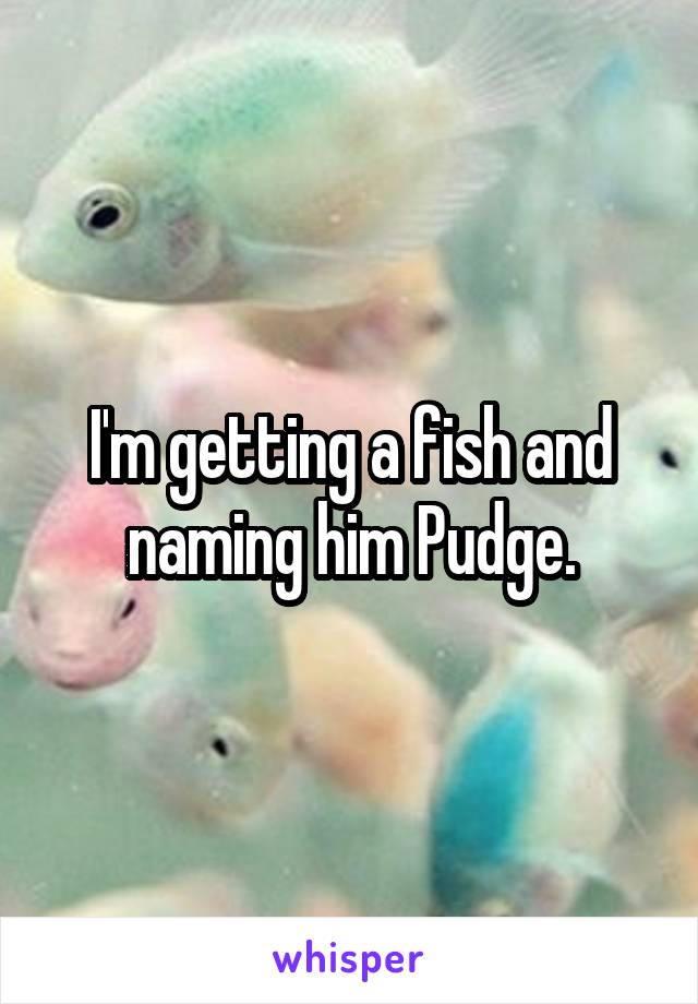 I'm getting a fish and naming him Pudge.
