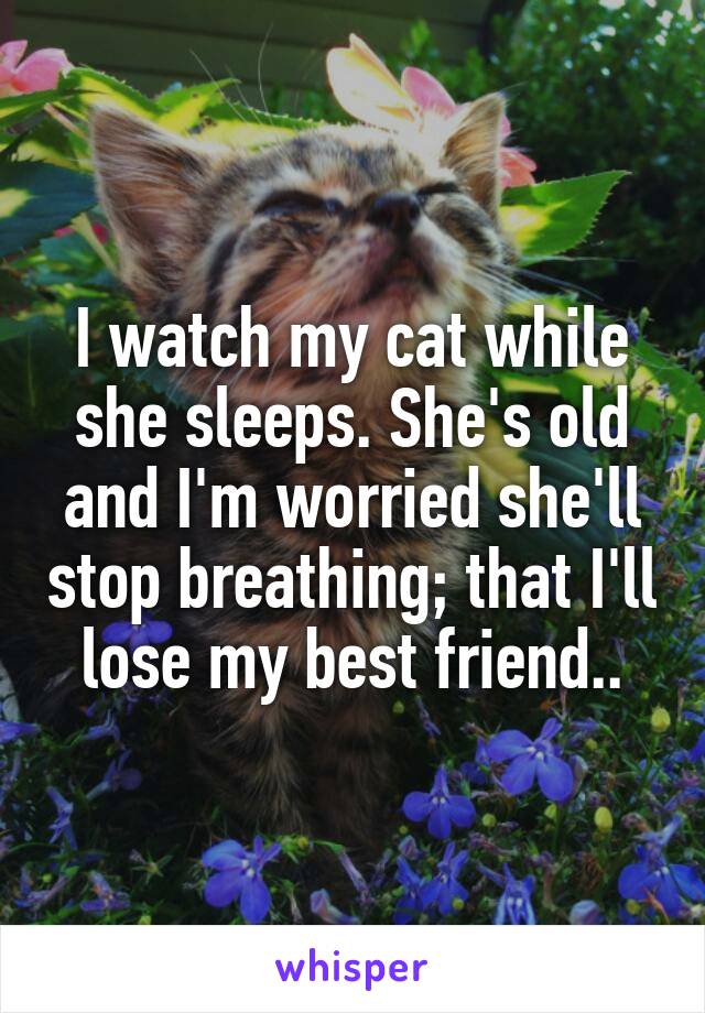 I watch my cat while she sleeps. She's old and I'm worried she'll stop breathing; that I'll lose my best friend..