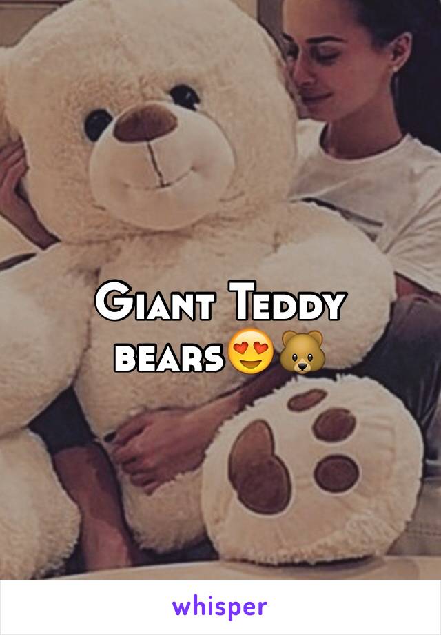 Giant Teddy bears😍🐻