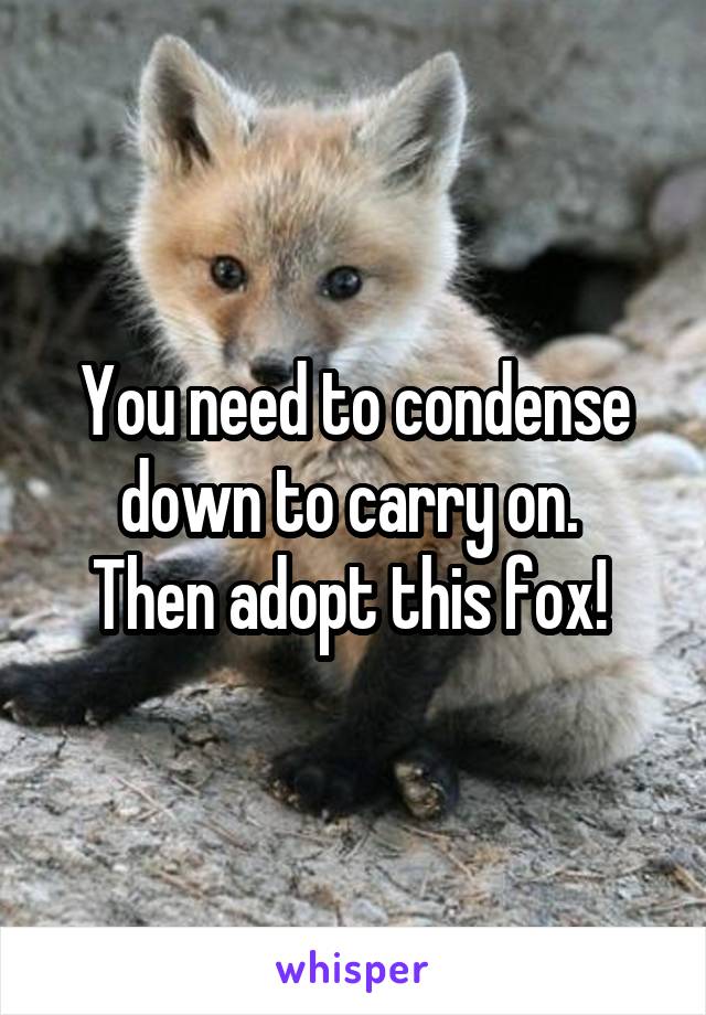 You need to condense down to carry on. 
Then adopt this fox! 