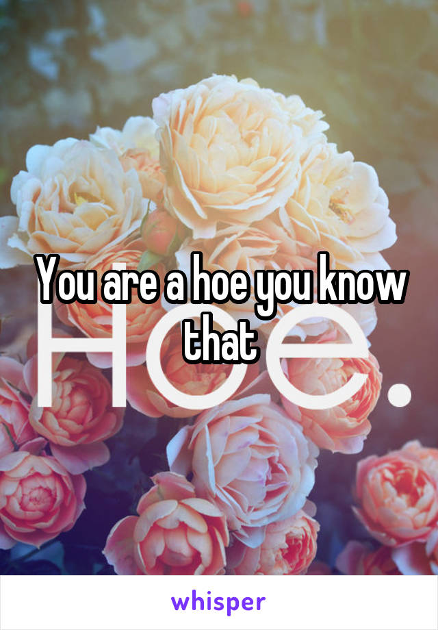 You are a hoe you know that