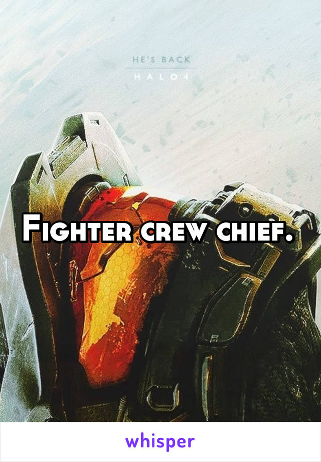 Fighter crew chief. 