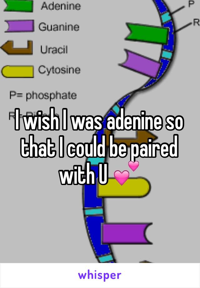 I wish I was adenine so that I could be paired with U 💕
