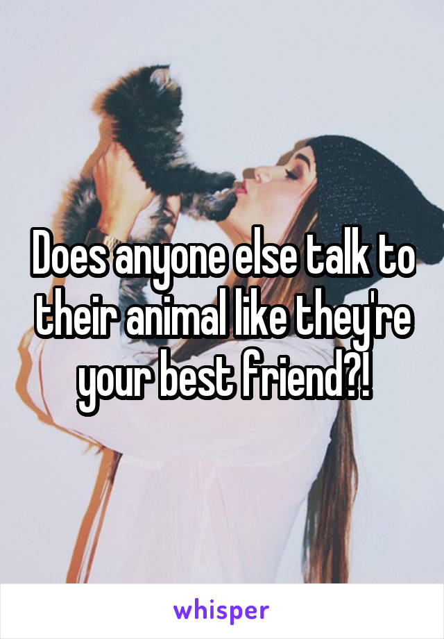 Does anyone else talk to their animal like they're your best friend?!