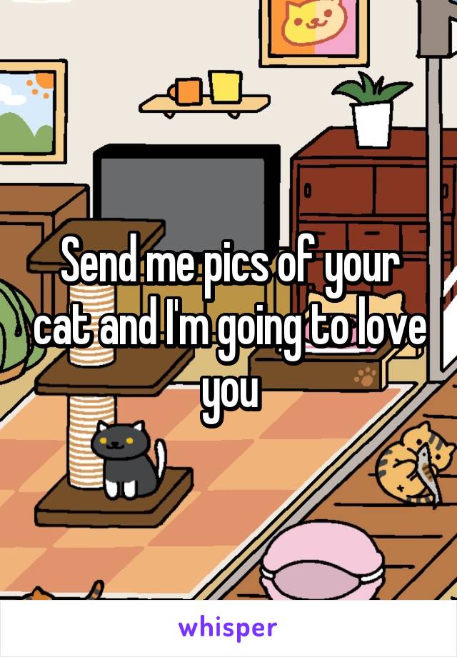 Send me pics of your cat and I'm going to love you