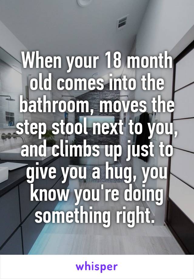 When your 18 month old comes into the bathroom, moves the step stool next to you, and climbs up just to give you a hug, you know you're doing something right. 