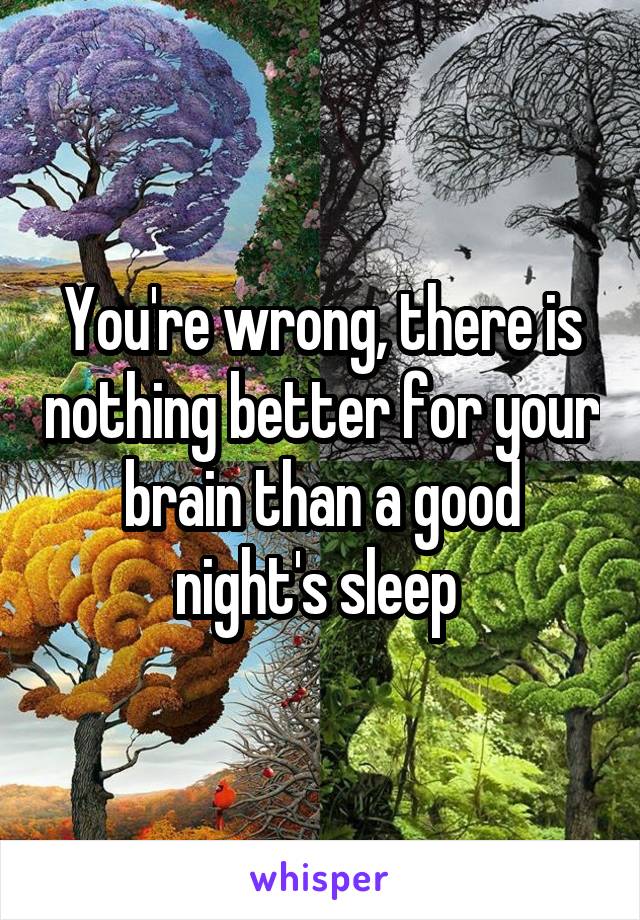 You're wrong, there is nothing better for your brain than a good night's sleep 