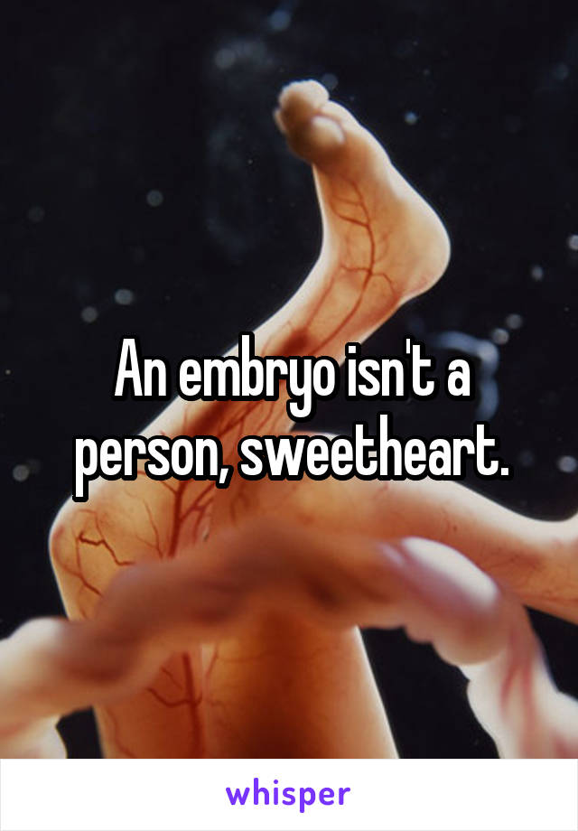 An embryo isn't a person, sweetheart.