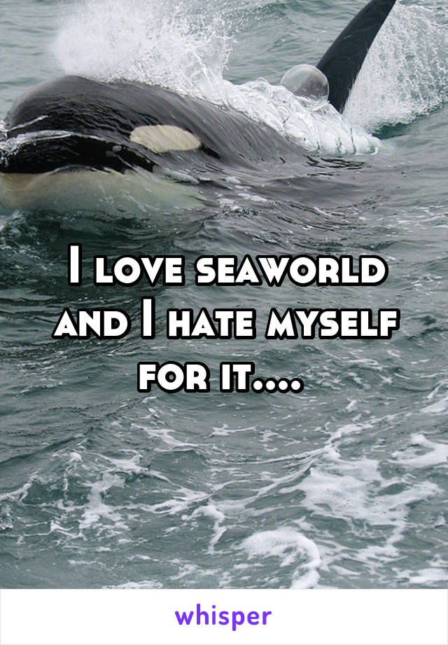 I love seaworld and I hate myself for it.... 