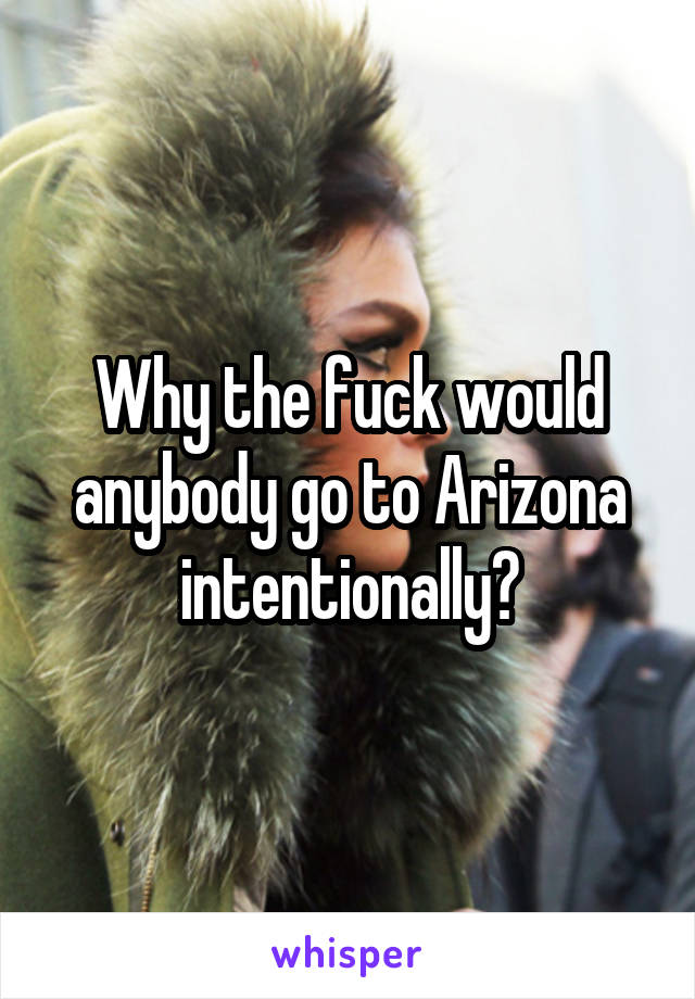 Why the fuck would anybody go to Arizona intentionally?