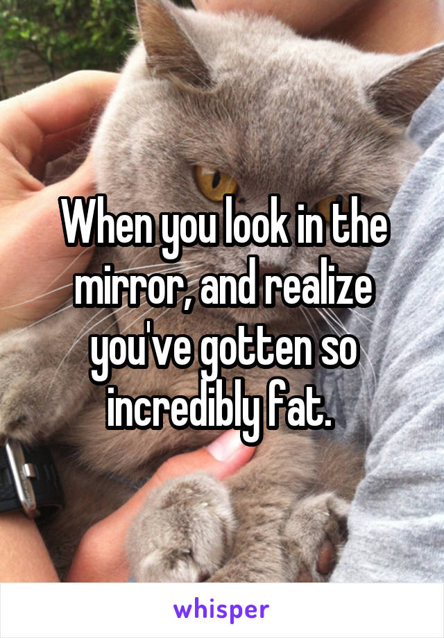When you look in the mirror, and realize you've gotten so incredibly fat. 