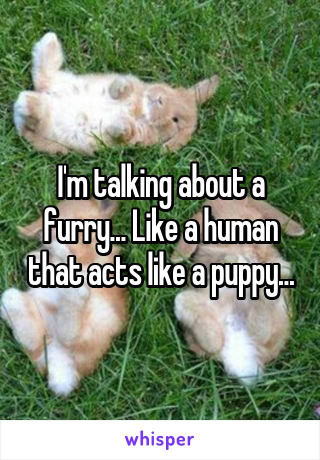 I'm talking about a furry... Like a human that acts like a puppy...