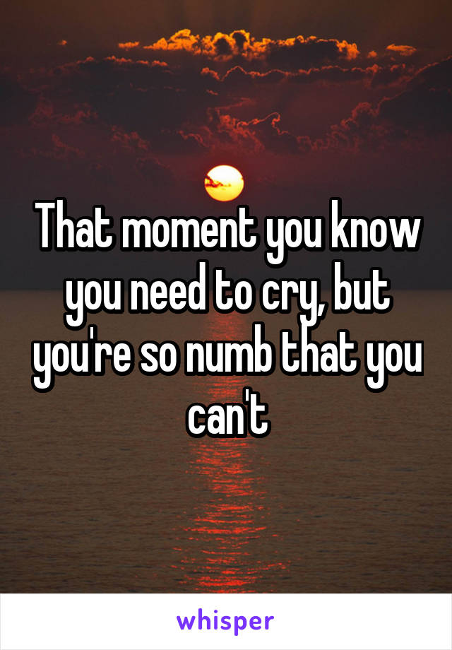 That moment you know you need to cry, but you're so numb that you can't