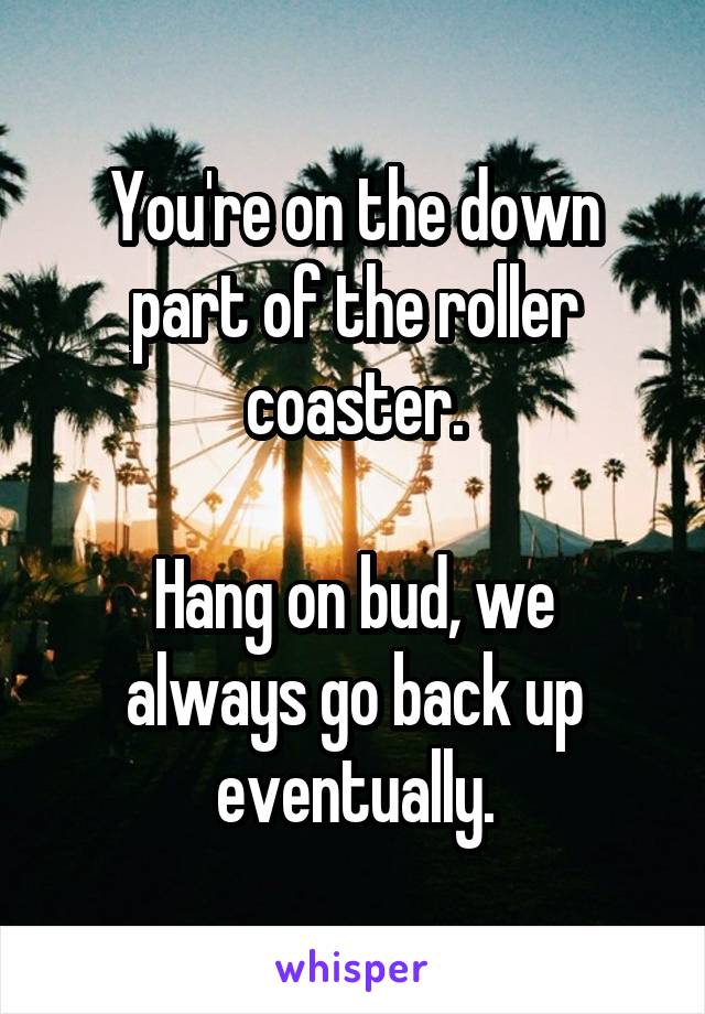 You're on the down part of the roller coaster.

Hang on bud, we always go back up eventually.