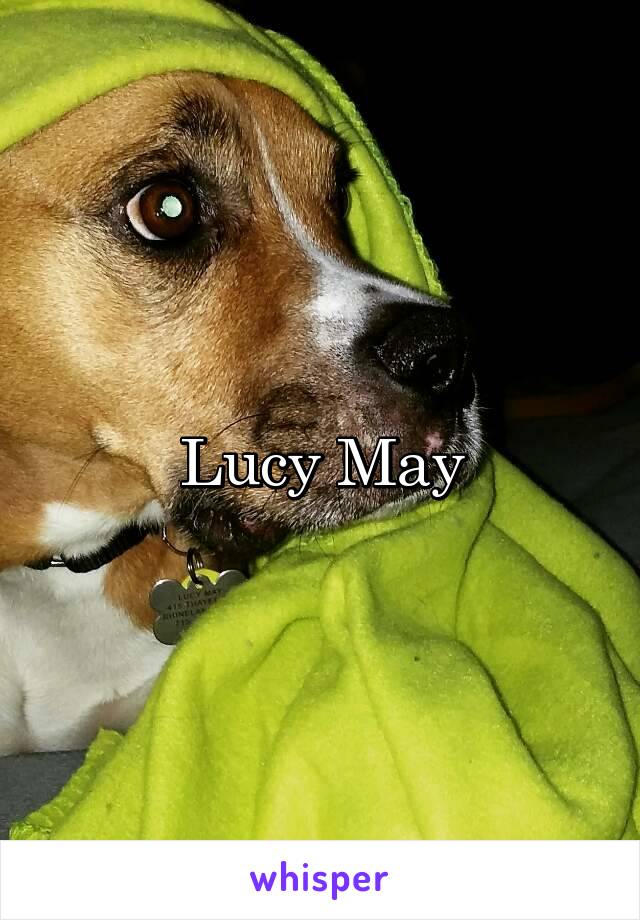 Lucy May