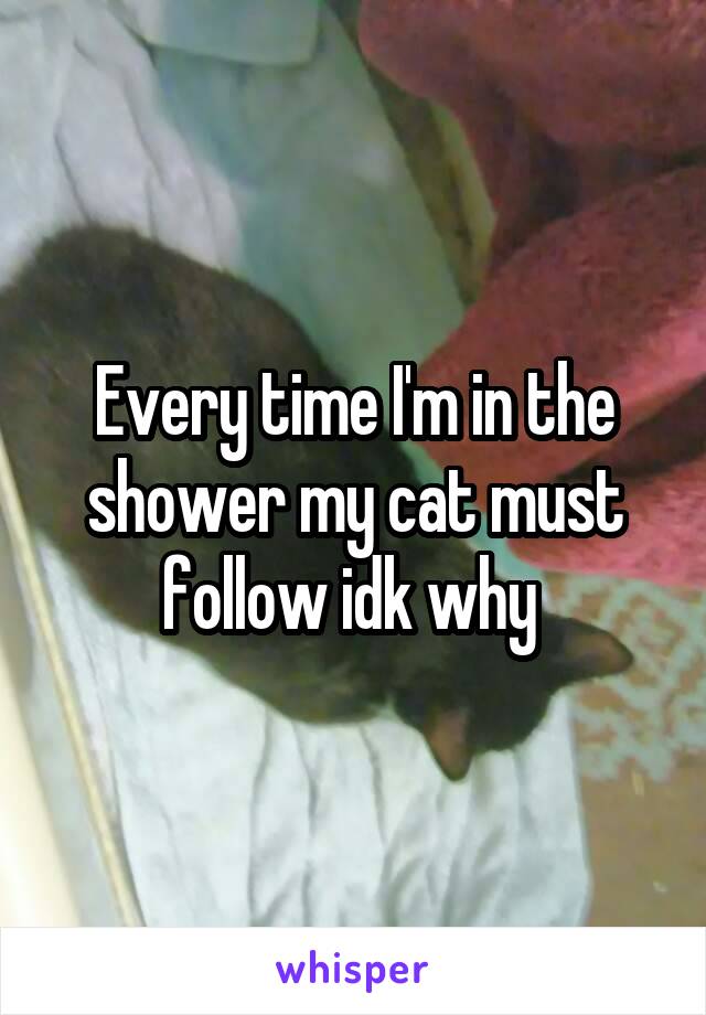 Every time I'm in the shower my cat must follow idk why 