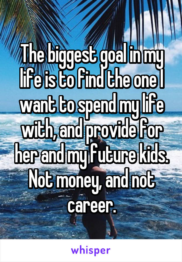 The biggest goal in my life is to find the one I want to spend my life with, and provide for her and my future kids. Not money, and not career.
