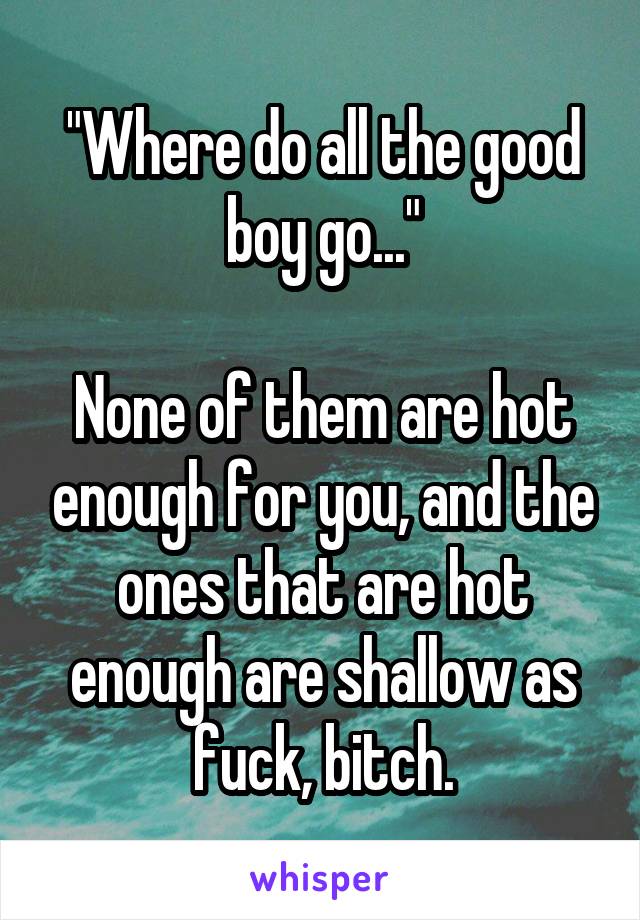 "Where do all the good boy go..."

None of them are hot enough for you, and the ones that are hot enough are shallow as fuck, bitch.