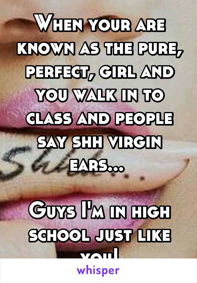 When your are known as the pure, perfect, girl and you walk in to class and people say shh virgin ears... 

Guys I'm in high school just like you!
