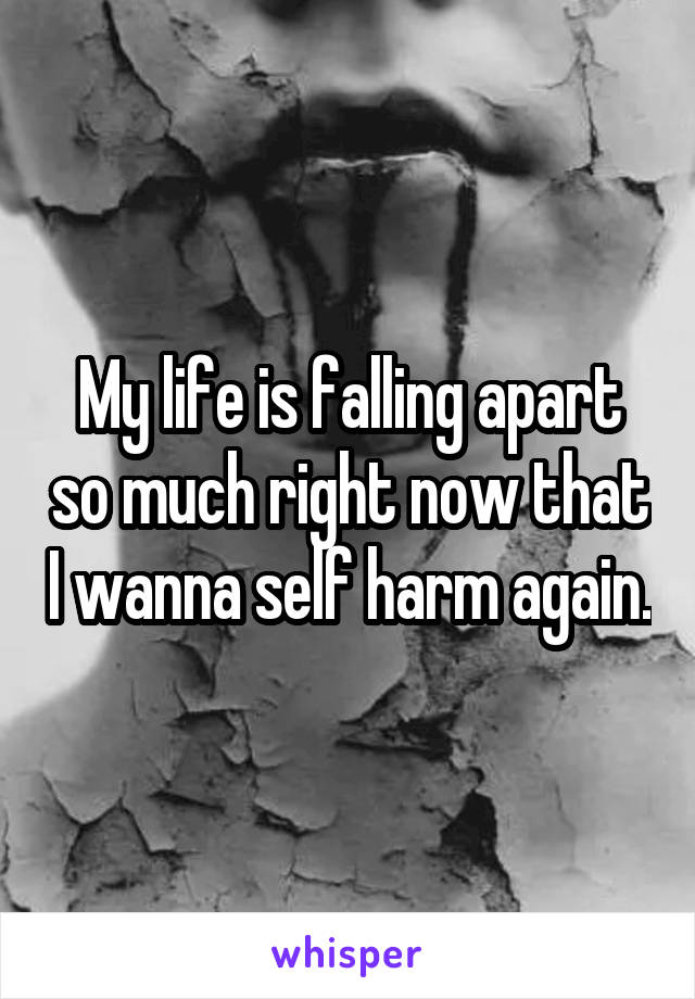 My life is falling apart so much right now that I wanna self harm again.