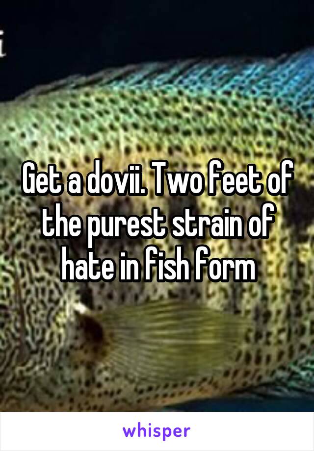 Get a dovii. Two feet of the purest strain of hate in fish form