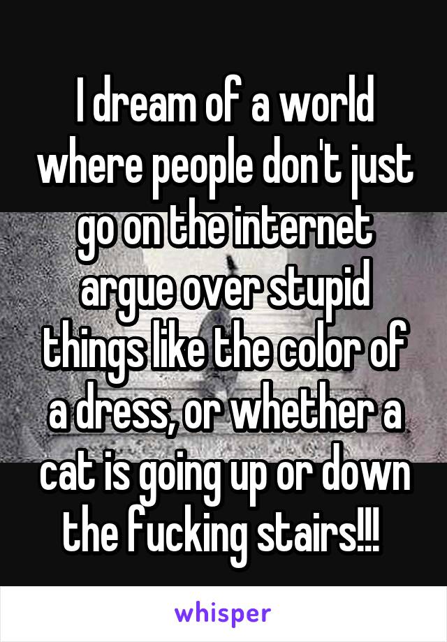 I dream of a world where people don't just go on the internet argue over stupid things like the color of a dress, or whether a cat is going up or down the fucking stairs!!! 