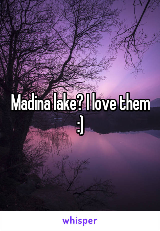 Madina lake? I love them :)