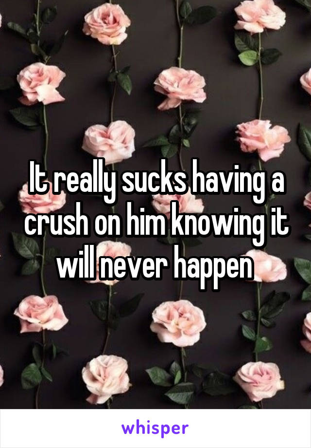 It really sucks having a crush on him knowing it will never happen 