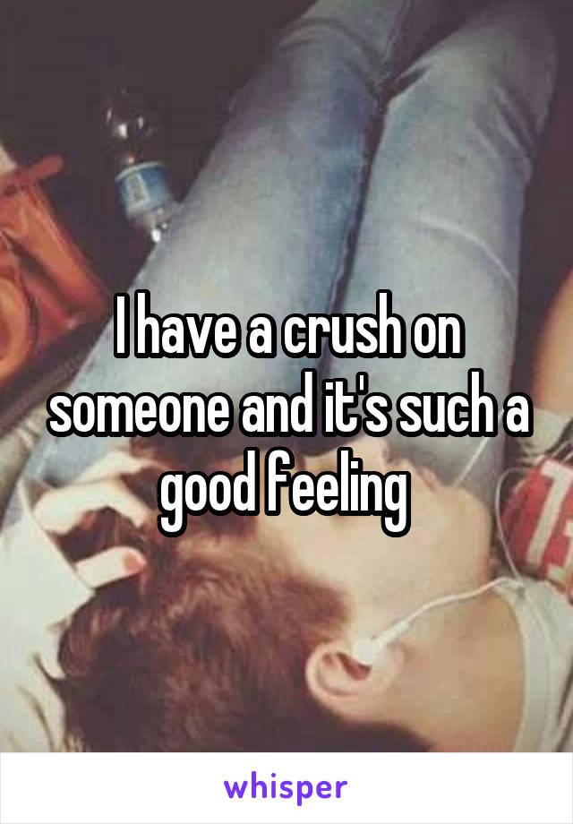 I have a crush on someone and it's such a good feeling 