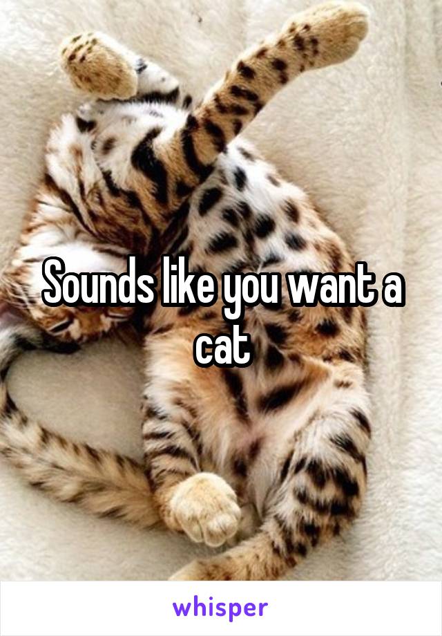 Sounds like you want a cat