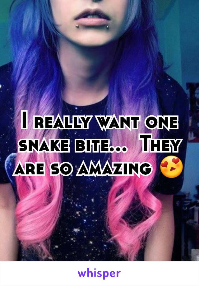 I really want one snake bite...  They are so amazing 😍
