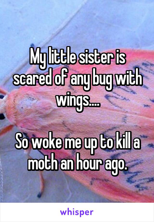 My little sister is scared of any bug with wings....

So woke me up to kill a moth an hour ago.
