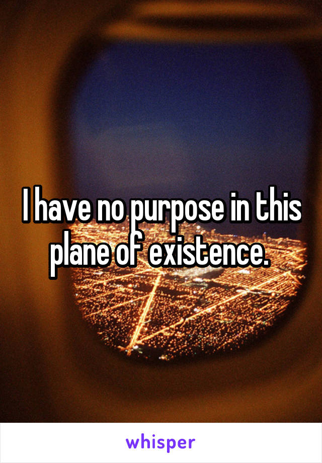I have no purpose in this plane of existence. 
