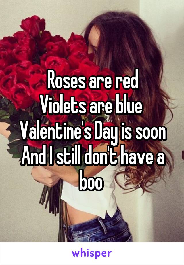 Roses are red
Violets are blue 
Valentine's Day is soon
And I still don't have a boo 