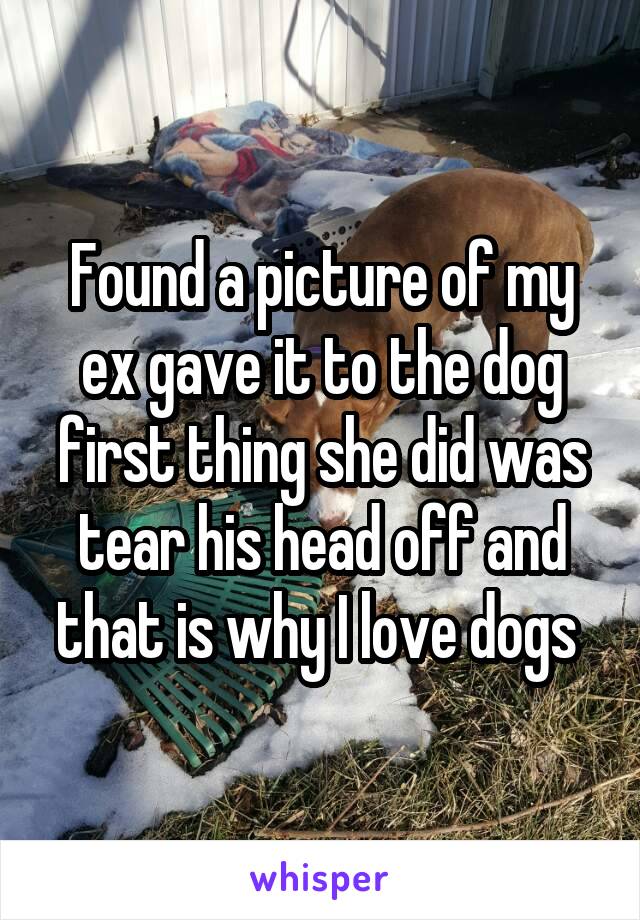 Found a picture of my ex gave it to the dog first thing she did was tear his head off and that is why I love dogs 